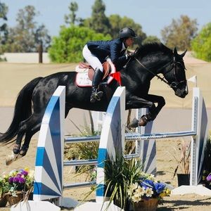 Meet your Posher, Lori